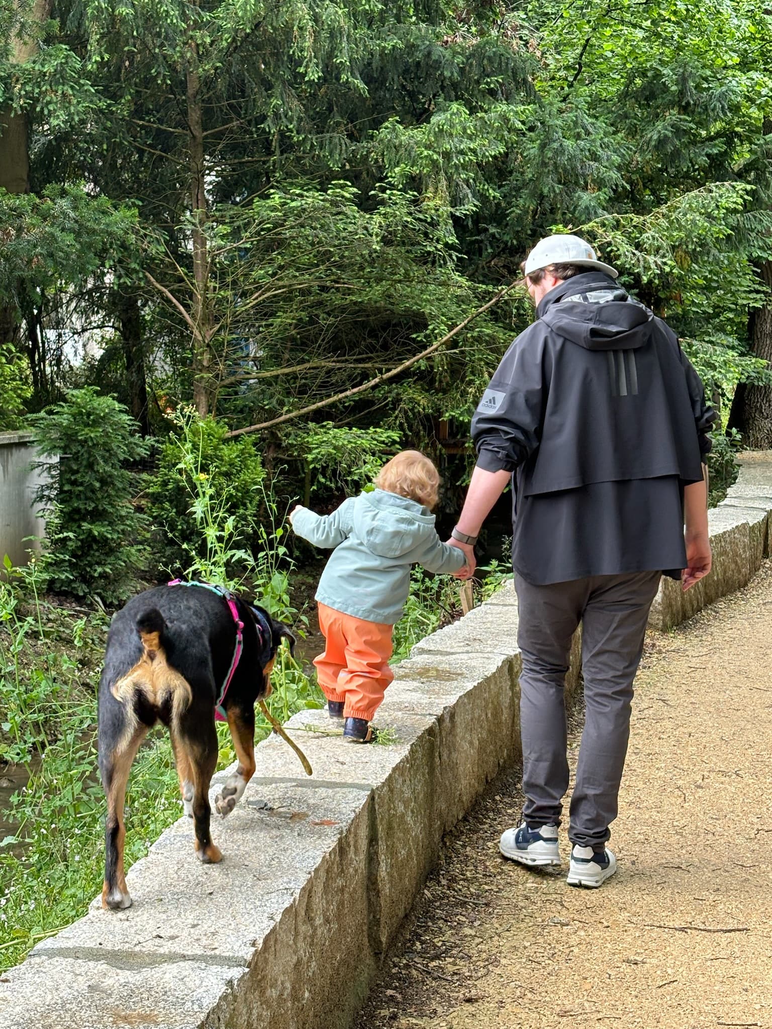 Caspar Camille Rubin